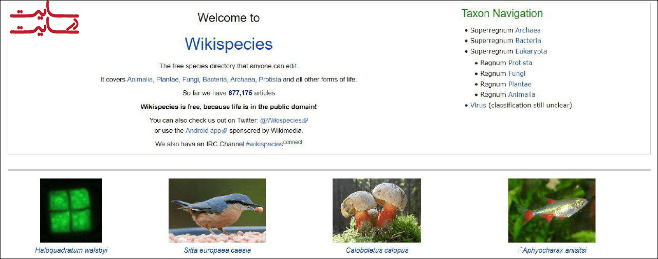 wikispecies